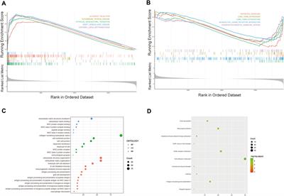 Identification and validation of ferroptosis-related lncRNA signatures as a novel prognostic model for glioma